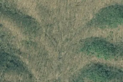 Camp site