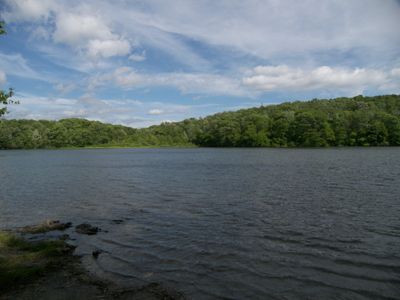 Berry pond, Summer - panoramio