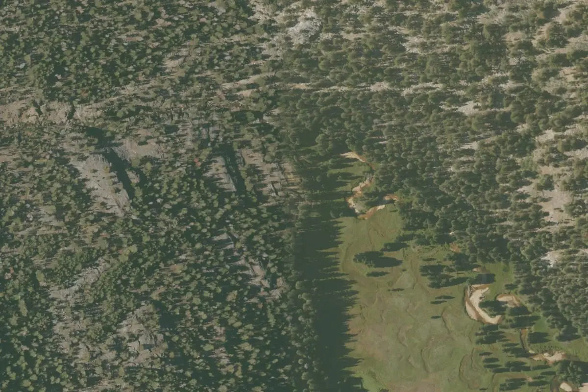 Aerial view