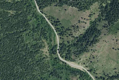 Logging Cr. Rd. 839-003