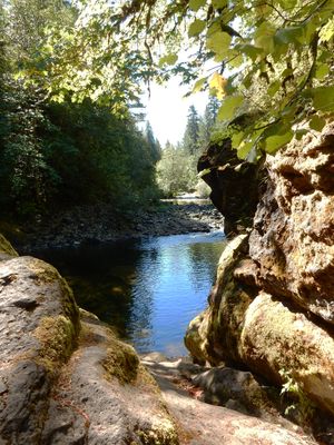 Sharps Creek Recreation Site