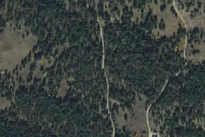Palmer Mtn Road-004