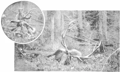 George Carlin's Elk