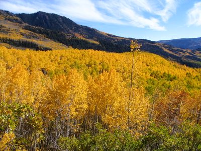Oak Creek Rec Site (Boulder, UT)