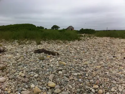 Benjamin Family Environmental Center