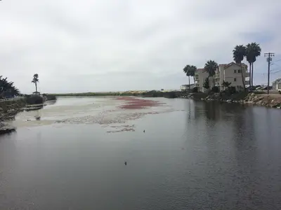 Downtown, Pismo Beach, CA, USA - panoramio - Sergei Gussev (13)