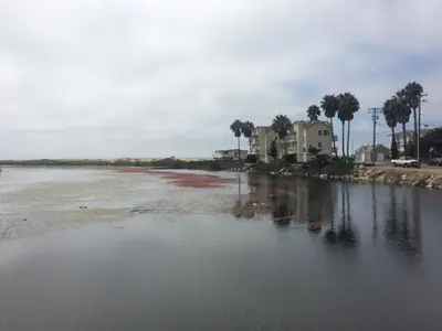 Pismo Beach, CA, USA - panoramio - Sergei Gussev (4)