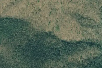 A.T. Low Gap Shelter