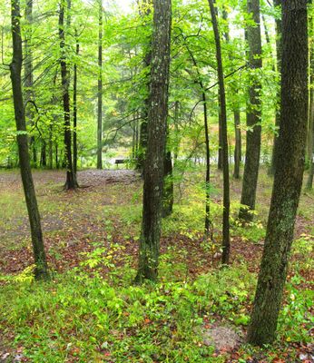 Poe Paddy State Park