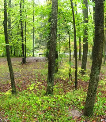 Poe Paddy State Park