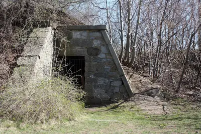 Fort Pickering 7