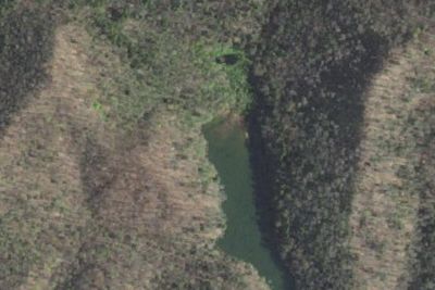 Laurel Fork Primitive Camp