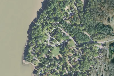 Dogwood Loop