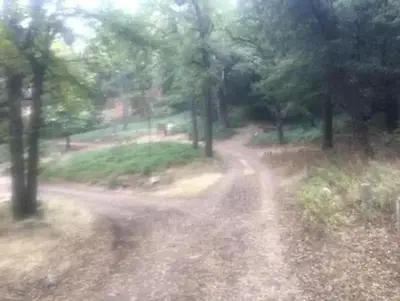White Oaks Campground