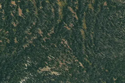U.S. Forest Service Site 3