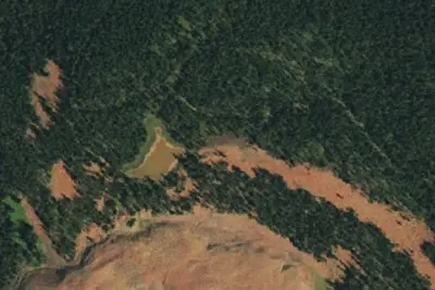 Camp site