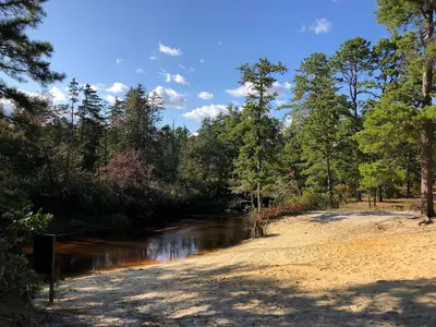 2024-09-22 16 15 37 View up Mullica River from a landing beach at the Mullica River Campground in Wharton State Forest along the border of Washington Township, Burlington County and Mullica Township, Atlantic County in New Jersey