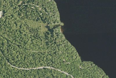 Ricker Pond State Park