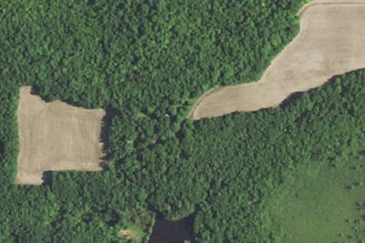 Site #5