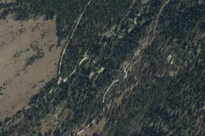 Paddy Flat Camping Area