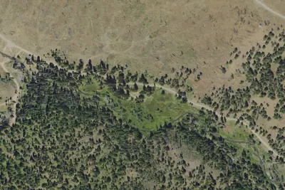 Primitive Camping Area