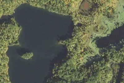 Spruce Island (East M4b)
