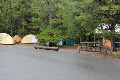 Bridge Bay Campground
