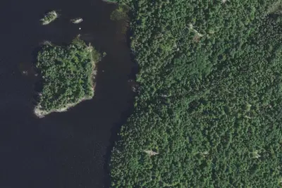 Camp site (Superior National Forest)
