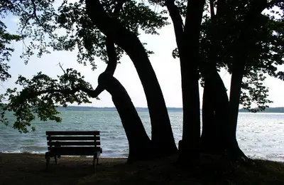LakeCarlosStatePark