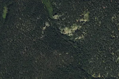Camp site