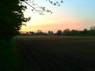 Sunset on the farm (20828043455)