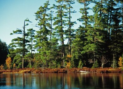 Bobcat Lake Campground