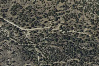 Coon Creek Yellow Post #3