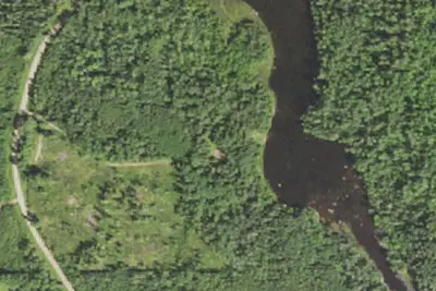 Camp site