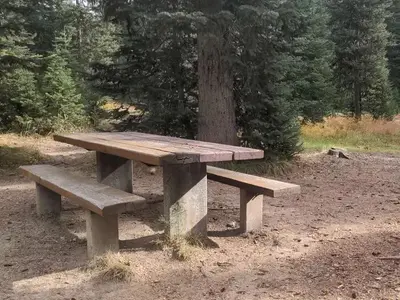 Jeanette campsite with picnic table