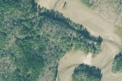 Upper Stamp Creek Campground