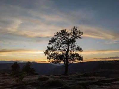 Flaming Gorge National Recreational Area - 49217500503
