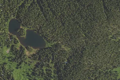 Camp site