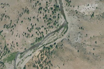 Camp site