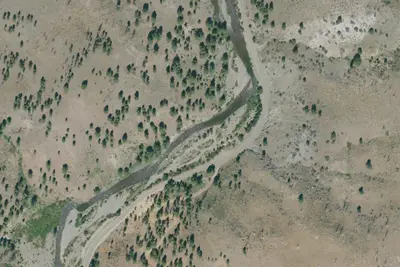 Camp site