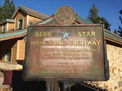 Blue Star 0481