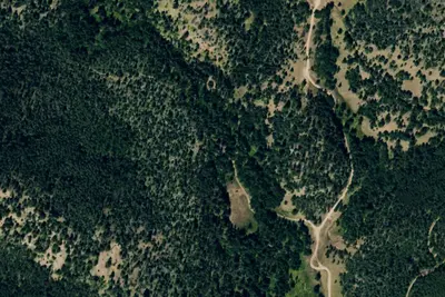 Camp site