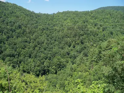 View from NC rest stop - panoramio