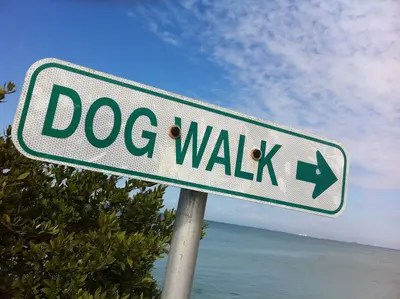 2011-365-53 Walk This Way (5469998240)