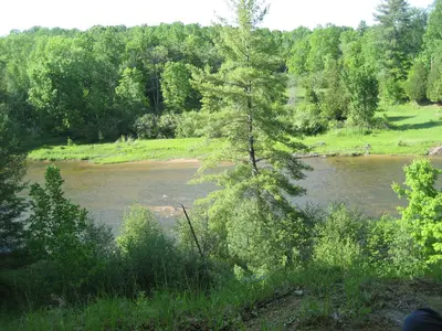Manistee River Trail - panoramio (1)