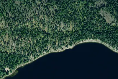Tally Lake North Site 7