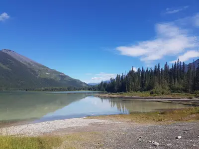 Whiteswan lake 2016