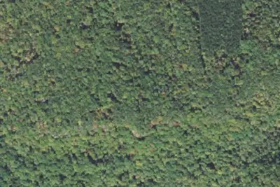 Camping Site 7