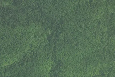 Sht- Fredenberg Creek