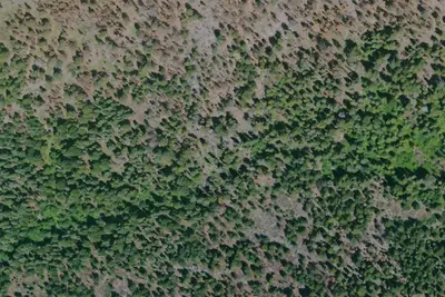 Low Gap Campsite